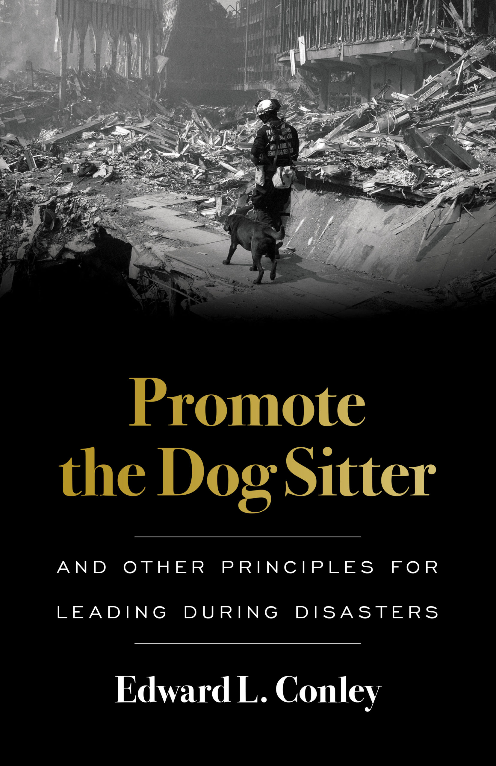 Promote the Dog Sitter