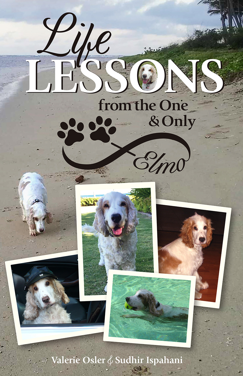 Life Lessons from the One and Only Elmo