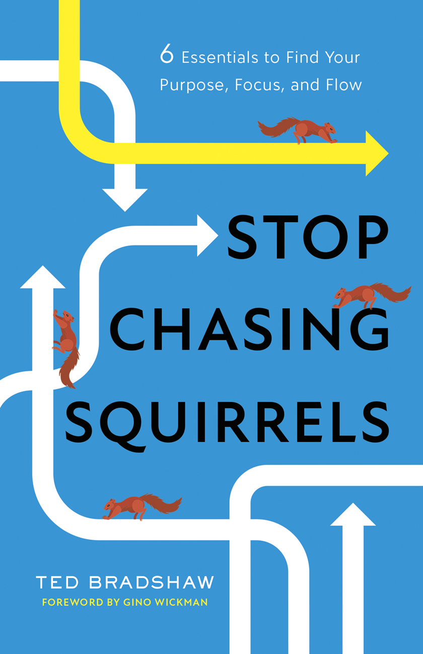 Stop Chasing Squirrels